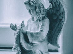 어느 날 하늘에서 천사가 내려왔다 1