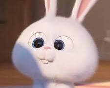 에..? 제가 라이즈요..? 5