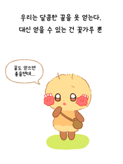 999개의 소원을 들어준 요정이 나타났다