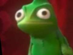 당주님 이게 뭐예요?