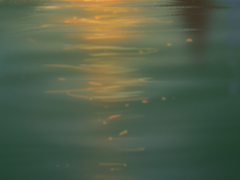 크리에이터 될 결심