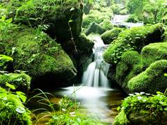 계(癸)일간의 계절별 용신 찾기