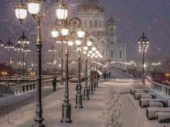 애프터라이프 드림 - [ Winter ]