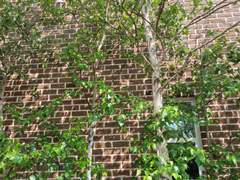 희생을 막는 방법