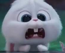 24.02.01 조금씩 좀 좀 따리.