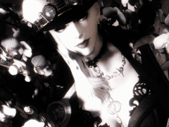 환상종 구합니다.