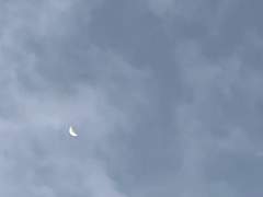 당신의 밤이 다시 밝아올 때까지