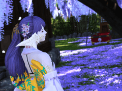 🪻아지사이 아야메