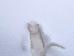 장편 드랍 답 두비두밥