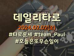 24/02/02 오늘의운세, 데일리타로
