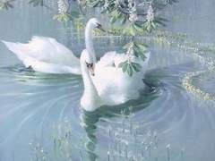 아일이네 자랑타래