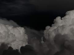 양산형 된 하늘