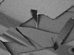 샬롯 아비게일 18 남 지박령