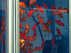 망각은 어쩌면 인간의 본능이기에