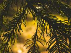 내가 봐도 특별한 무언가는 아냐*