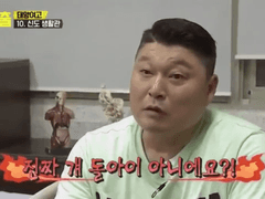 강쥐 시목이와 주인 동재[시목동재]