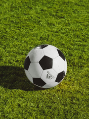 블루록 자급자족 CP