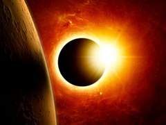 백호랑이는 헌터가 싫다 - 5