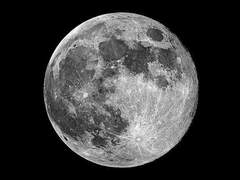 달에 가고 싶어.