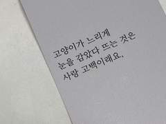 다슬 고등학교.