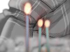 12번째 생일 축하해.