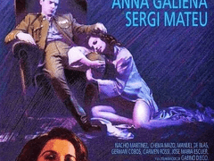 D353) 에스트라다의 미망인 (Captain Estrada’s Widow, 1991)