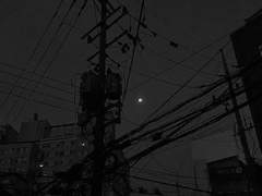 내가 없더라도,