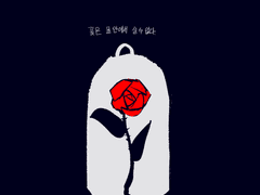 꽃은 물 안에서 살 수 없다.