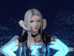 언약자님을 모십니다.