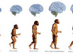 Liminal Lab 세계관 소개