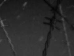 CYP. XX 봉인의 리하르트