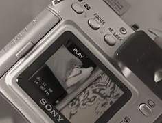 卜天運隨, 牧原槿花