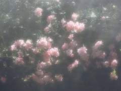 너랑 인연을 오래 맺고싶어.