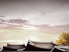 [장현길채] 미운 한 점 없이