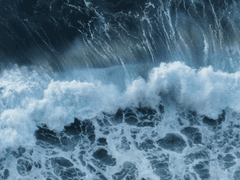 제가 가끔 놀아드리는 걸로 모자라세요?