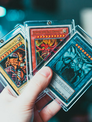 오늘도 평화로운 일성소 카페