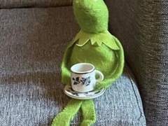 죽음의 수용소에서