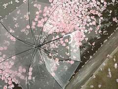 2024.02.04 봄의 시작