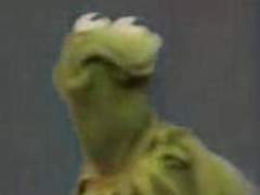 난 당주님 안 좋아해