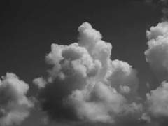 스즈키 젠 / 17 / 남성 / 리뉴얼 프로필