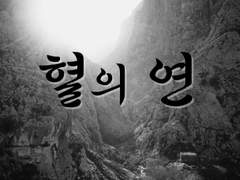 혈의 연 (1) 태준원영