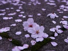 [낌면] 다시 만날 세계 (1)