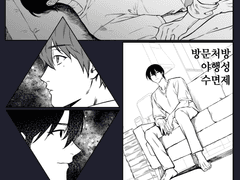 방문처방 야행성 수면제