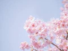 [엔시티/카톡] 시티대 캠퍼스 개강