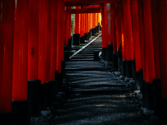 [태웅백호/루하나]坊ちゃん. #07-1