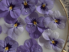 [에필로그] 창균의 이야기