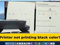 Detailed Guide on HP Printer Not Printing Color and Black Ink
