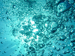 [BL] 안녕하세요, 도련님?