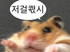 나페스 타로 맛집에서 엔시티 마크 주문해본 후기