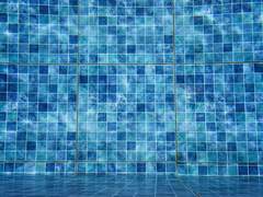 당신의 생일을 축하하며 대한민국에서 전해드립니다